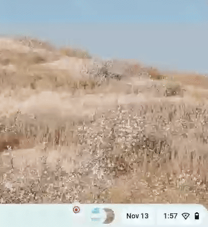 Screenrecording2025-11-131.57.03PM-ezgif.com-crop.gif